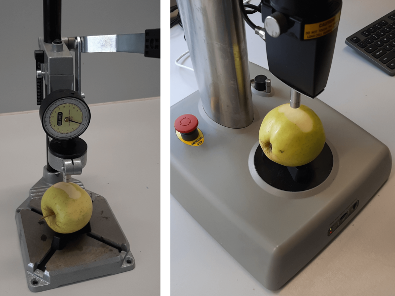 Evaluating firmness